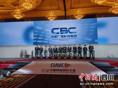成都广播影视集团正式成立