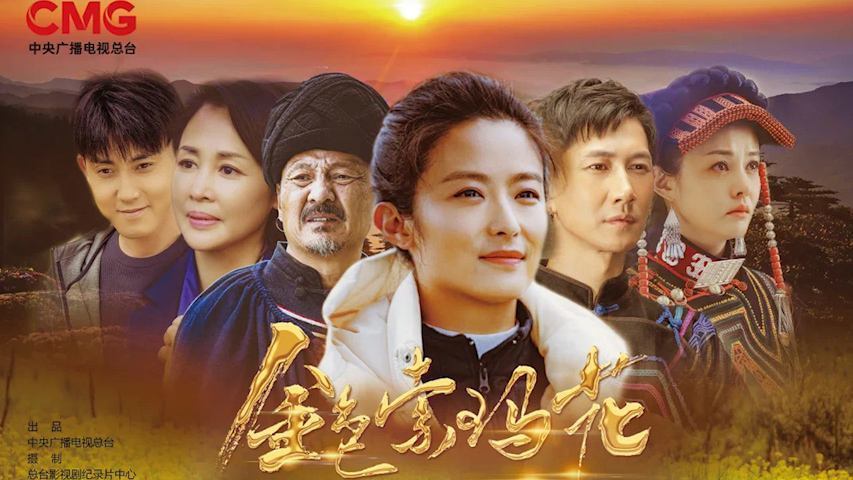 《金色索玛花》 脱贫攻坚的温情与希望